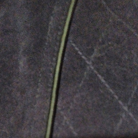 Ladies Winter Coat - Picture 3 of 3